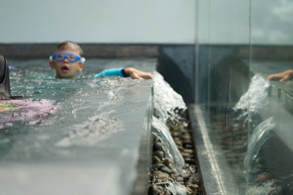 building a concrete swimming pool